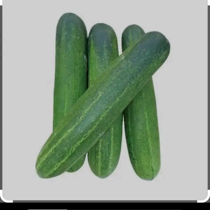 Cucumber Greece